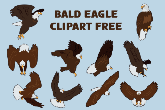 Bald Eagle Clipart Free Graphics