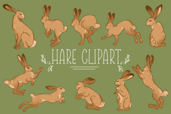 Hare Clipart Free Graphics